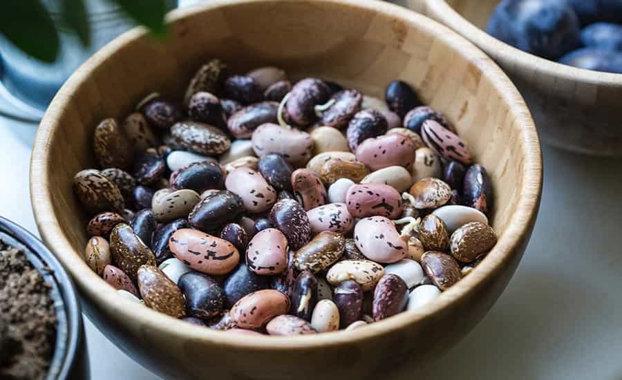 kidney beans